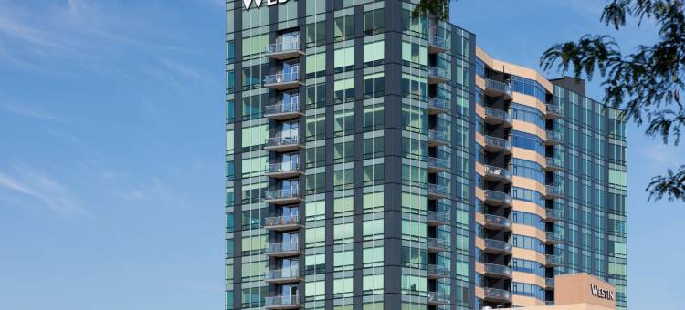 埃迪纳商场威斯汀酒店(The Westin Edina Galleria)图片