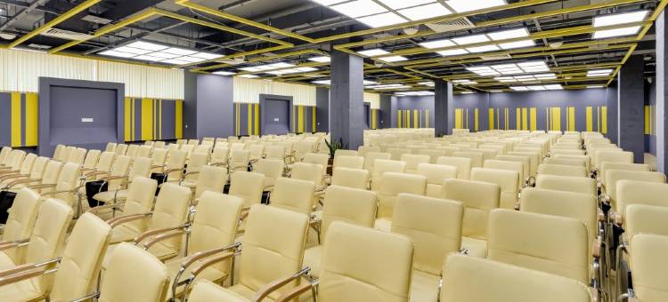 维嘉伊兹麦洛瓦酒店和会议中心(Vega Izmailovo Hotel)图片