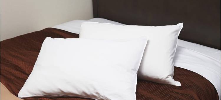 甲府Sealuck Pal酒店(Hotel Sealuck Pal Kofu)图片