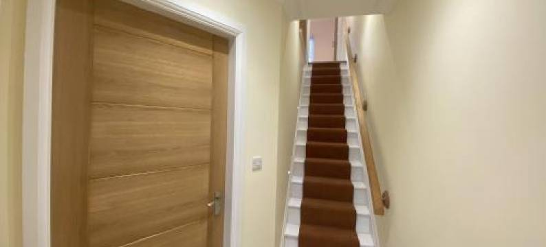 洛蒂的洛特(Lotties Lott)图片