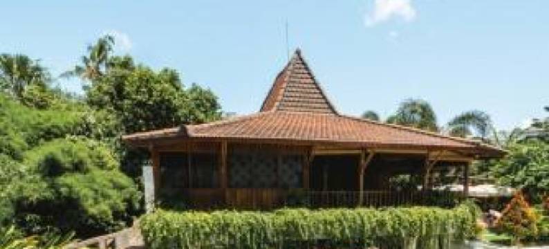 巴厘岛农场旅馆(The Farm Hostel)图片