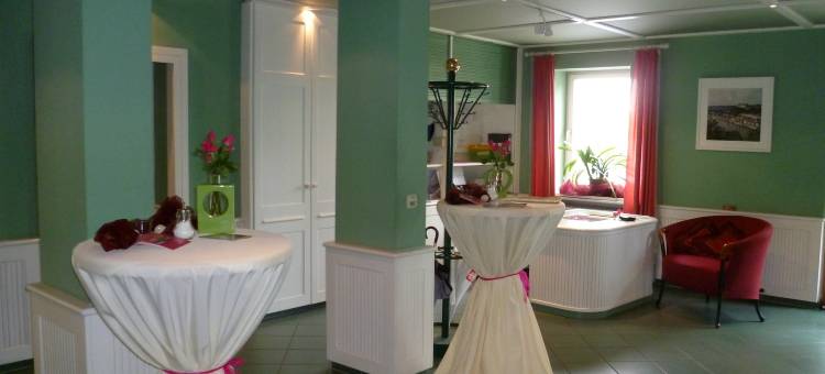 萨尔斯加特恩酒店(Gartenhotel Salzach)图片