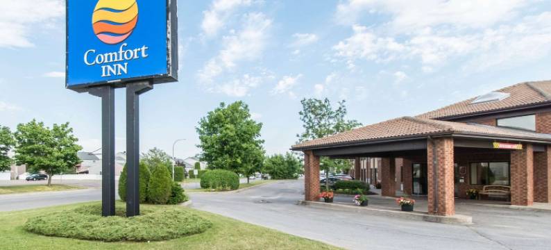 舒适酒店(Comfort Inn)图片