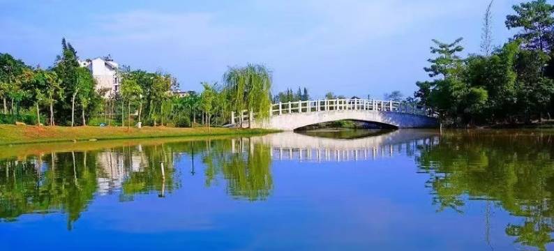 归屿island公寓(湖秀二路分店)图片