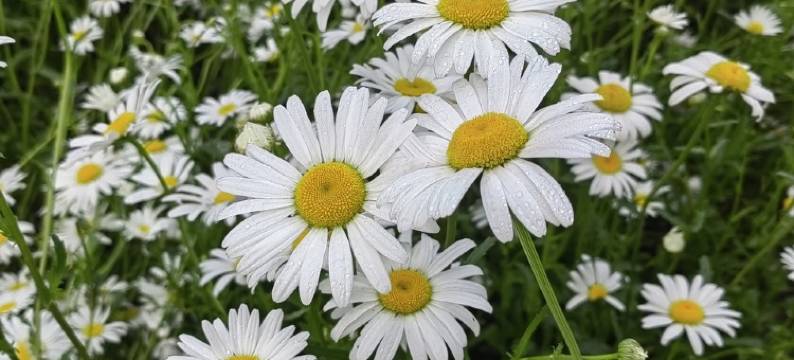 娜嘉民宿(开元路分店)图片