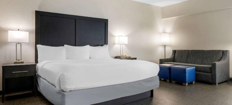 格里尔-格林维尔机场舒适套房酒店(Comfort Inn & Suites Greer - Greenville)图片