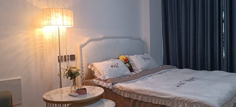 静静小窝新城明昱锦苑民宿(卧龙西路分店)图片