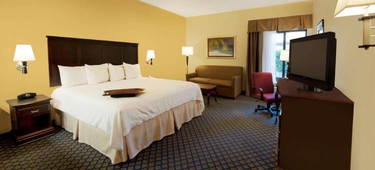 希尔顿欢朋酒店-朱庇特朱诺比奇(Hampton Inn Jupiter/Juno Beach)图片