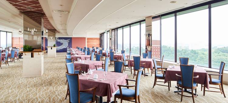 成田马罗德国际酒店(Marroad International Hotel Narita)图片