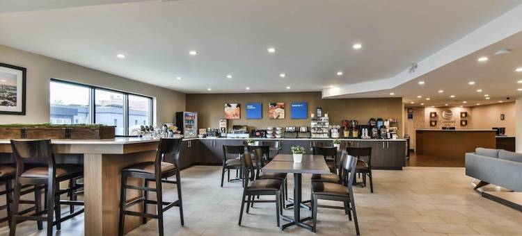温莎舒适酒店(Comfort Inn)图片