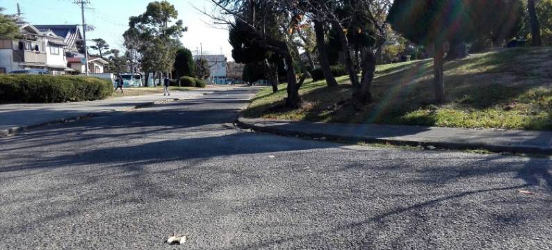 山本民博(Minpaku Yamamoto)图片