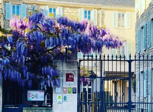 Logis Hôtel-Restaurant le Fontarabie Hotel Overview