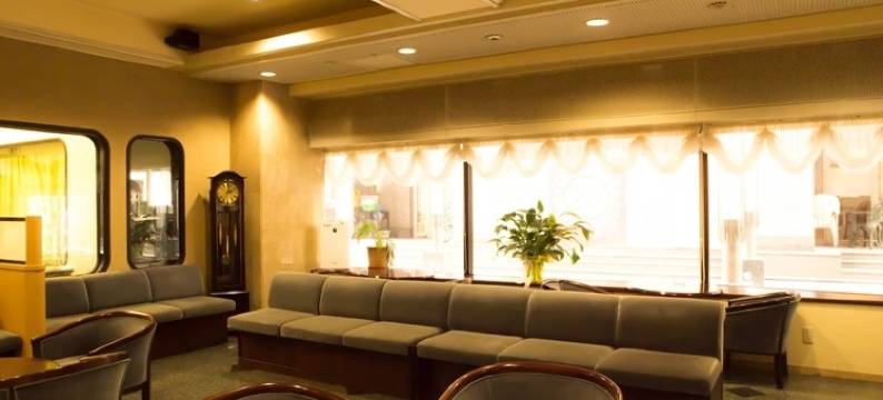 盛冈布莱特酒店(Hotel Bright Inn Morioka)图片