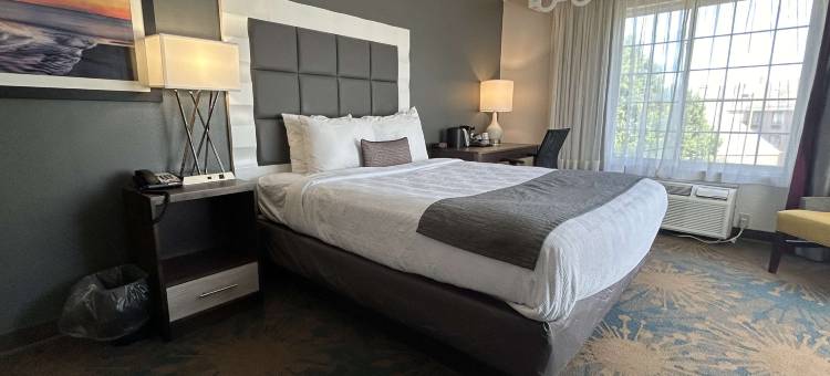 Best Western Erie Inn  Suites图片