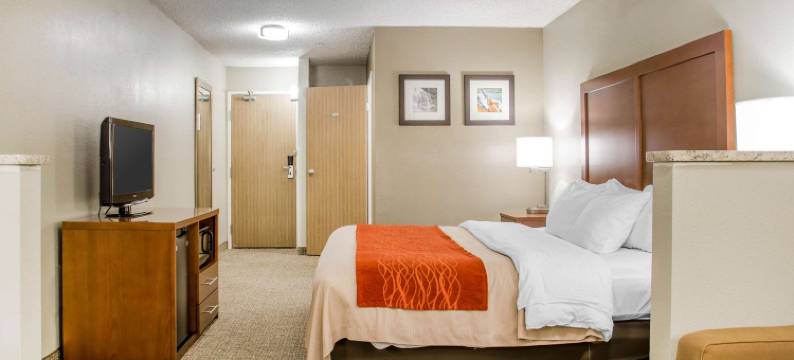 舒适酒店(Comfort Inn)图片