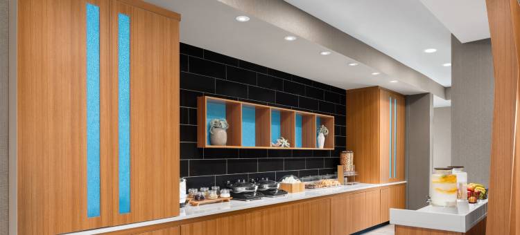 北罗阿诺万豪春丘酒店(SpringHill Suites Roanoke North)图片
