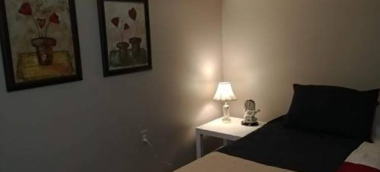 Bradford Vacation图片