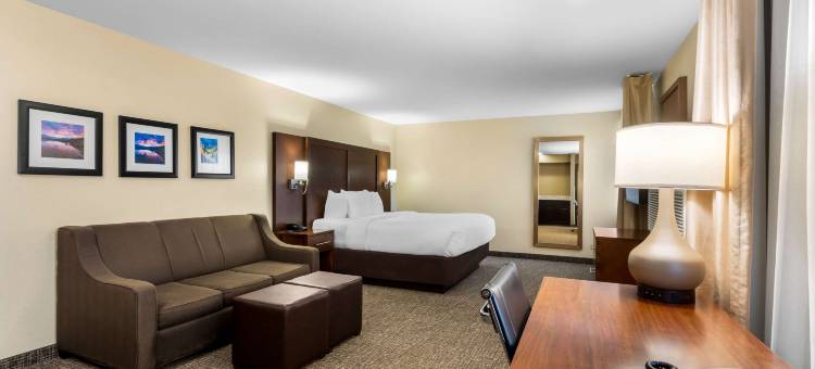格里利舒适套房酒店(Comfort Inn & Suites Greeley)图片