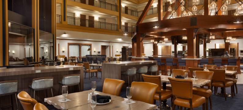 丹佛国际机场希尔顿大使套房酒店(Embassy Suites by Hilton Denver International Airport)图片