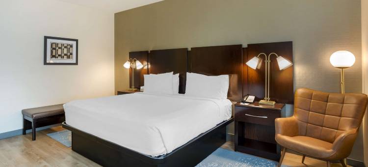 普鲁士独立国王酒店(Independent King of Prussia)图片