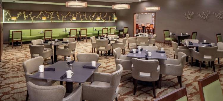 韦斯特莱克温德姆花园酒店(Wyndham Garden Westlake)图片