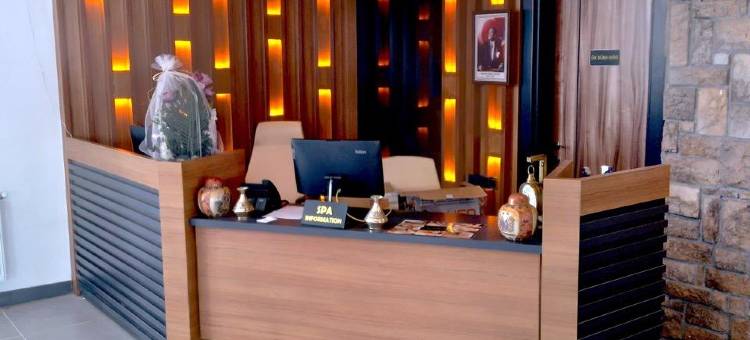 Chalet Khione (Metinoğlu 膳宿公寓) 萨里卡米什(Metinoglu Pansiyon (Chalet Khione) Sarıkamıs)图片