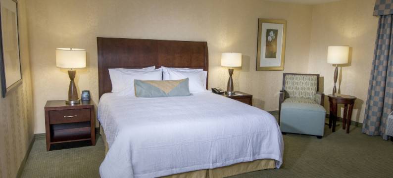 希尔顿花园旅馆-西安普顿蒙荷里(Hilton Garden Inn Mount Holly/Westampton)图片