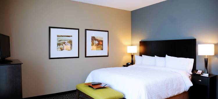 希尔顿欢朋酒店-克里斯特尔里弗(Hampton Inn Crystal River)图片