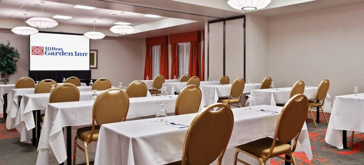 伊利诺斯普林菲尔德希尔顿花园酒店(Hilton Garden Inn Springfield, IL)图片