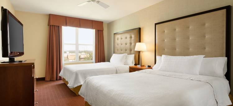希尔顿旗下杜勒斯北-劳登家园套房酒店(Homewood Suites by Hilton District of Columbia - Dulles-North/Loudoun)图片