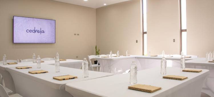 雪松酒店(Cedrela)图片