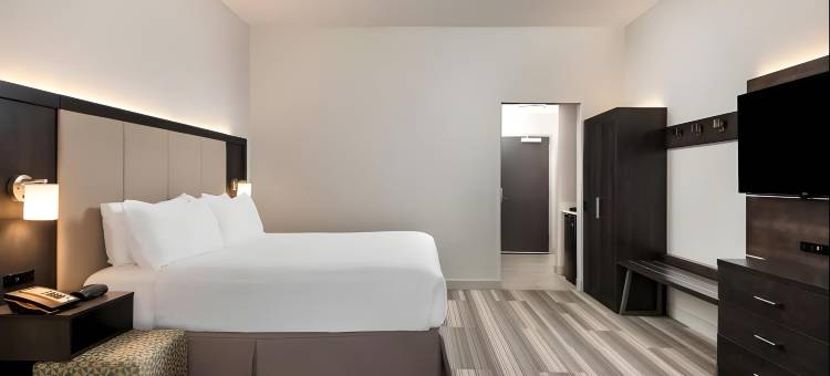 南莱克兰智选假日套房酒店(Holiday Inn Express & Suites Lakeland South)图片