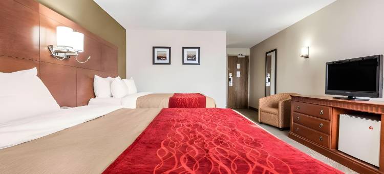 舒适套房酒店(Comfort Inn & Suites)图片