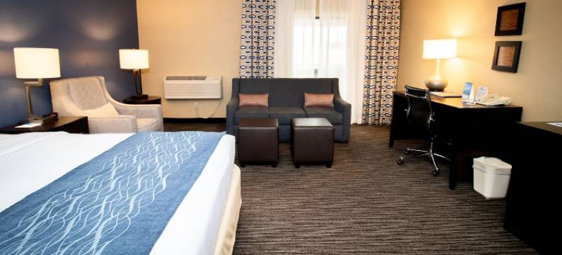 阿灵顿高地 - 麋鹿林郊区套房酒店(Suburban Studios Arlington Heights Elk Grove)图片