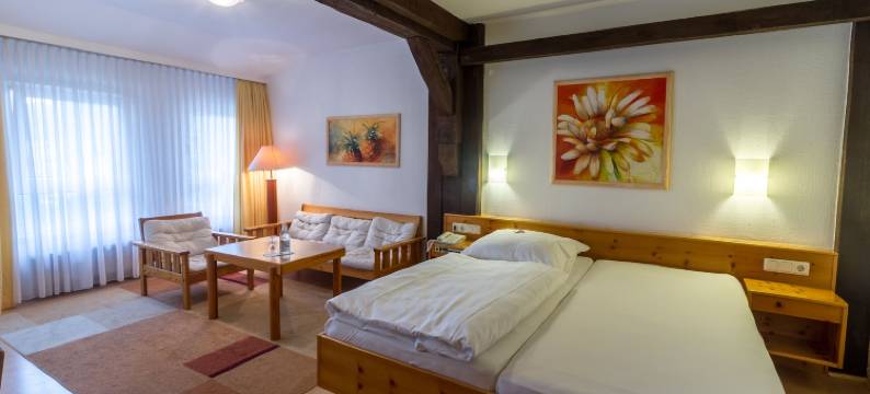 绍尔布赖酒店(Hotel Sauerbrey)图片