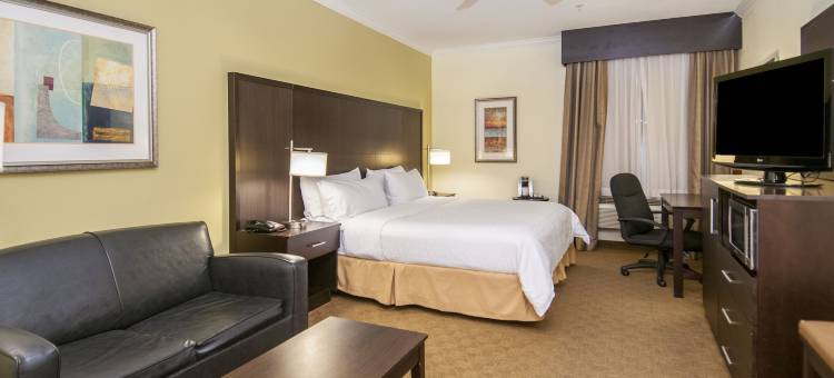 智选假日套房酒店休斯顿洲际北(Holiday Inn Express & Suites Houston North InterContinental)图片