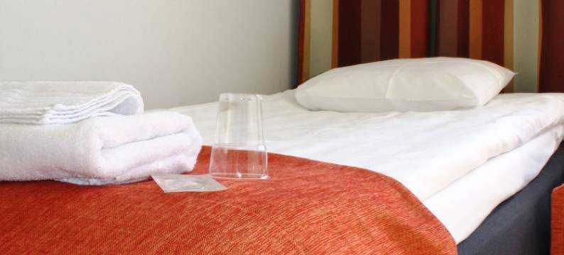 弗利丽娜夏季酒店(Summer Hotel Vuorilinna)图片