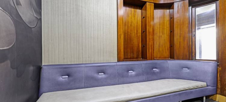 Treebo 阿波罗(Treebo Apollo)图片