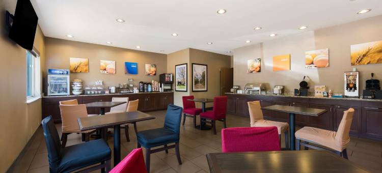 东维奇塔舒适酒店(Comfort Inn East)图片