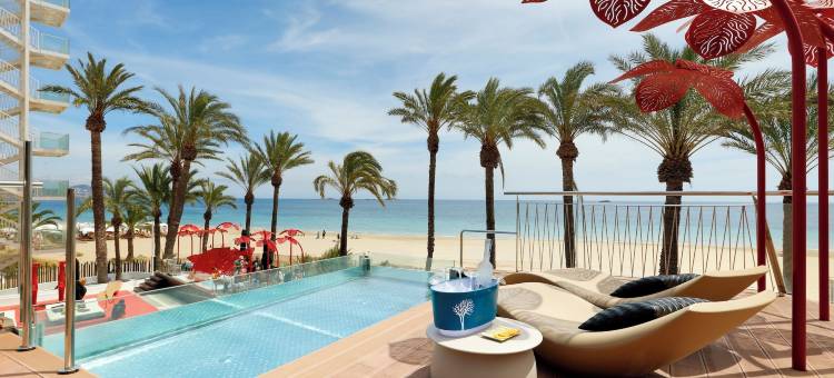 乌斯怀亚伊维萨海滩酒店 - 仅供成人入住 - 含俱乐部入场(Ushuaïa Ibiza Beach Hotel - Adults Only - Club Entrance Included)图片