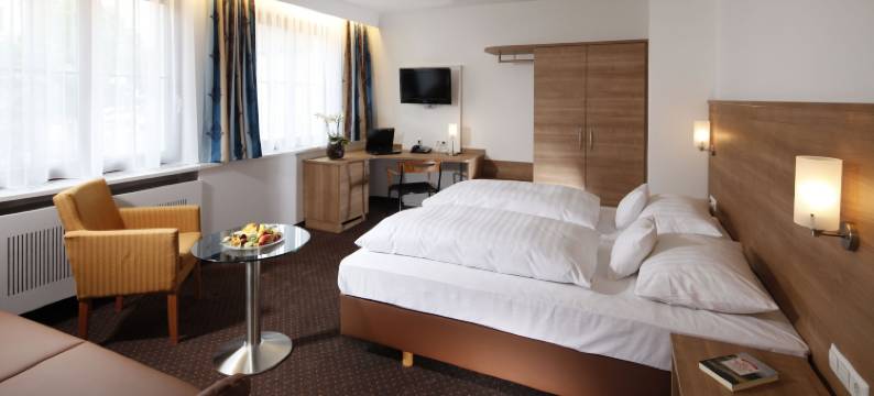 沃泰克酒店(Hotel Warteck)图片