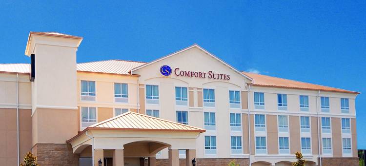 舒适套房酒店(Comfort Suites)图片