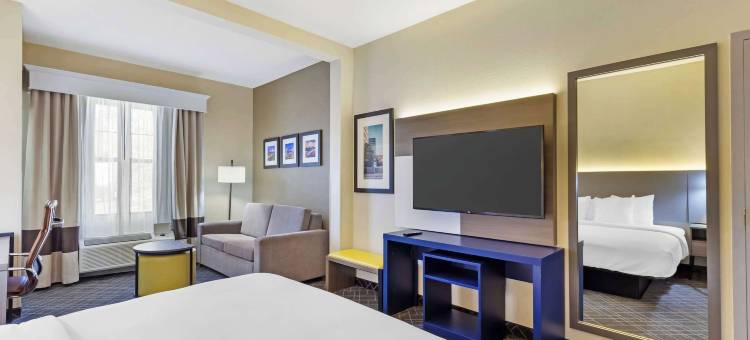 哈尼斯商场舒适套房酒店(Comfort Suites Hanes Mall)图片