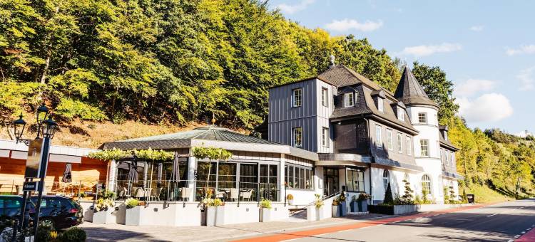 布里隆瓦尔德城堡酒店(Schlosshotel Brilon-Wald - Hostel)图片