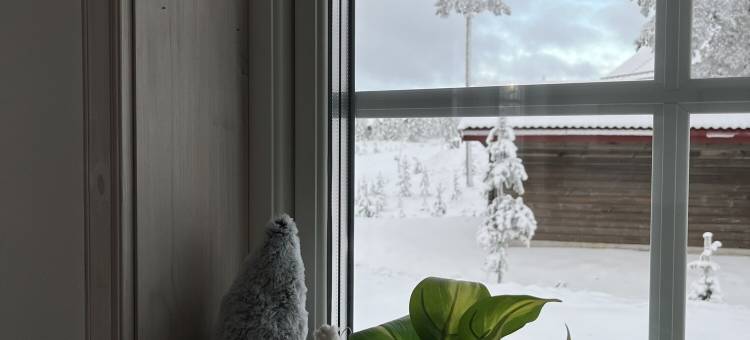 伊德雷西梅菲耶尔酒店(Idre Himmelfjäll)图片
