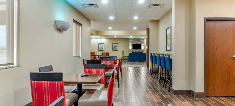 萨莱纳北舒适套房酒店(Comfort Inn & Suites Salina North)图片