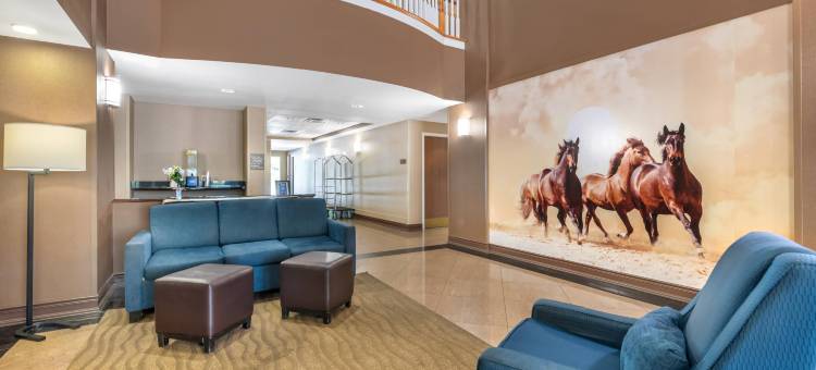 北奥卡拉舒适套房酒店(Comfort Suites Ocala North)图片