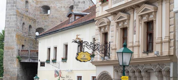 金鹿酒店(Hotel Zum Goldenen Hirschen)图片
