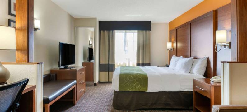 舒适套房酒店-史蒂文斯维尔圣约瑟夫(Comfort Suites Stevensville - St Joseph)图片