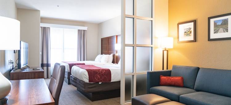 维克斯堡舒适套房酒店(Comfort Suites)图片